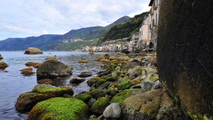 Scilla (Reggio Calabria). Foto di Mario Greco