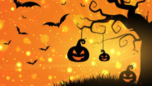 sfondo-di-halloween-con-zucche-e-pipistrelli_1048-3077