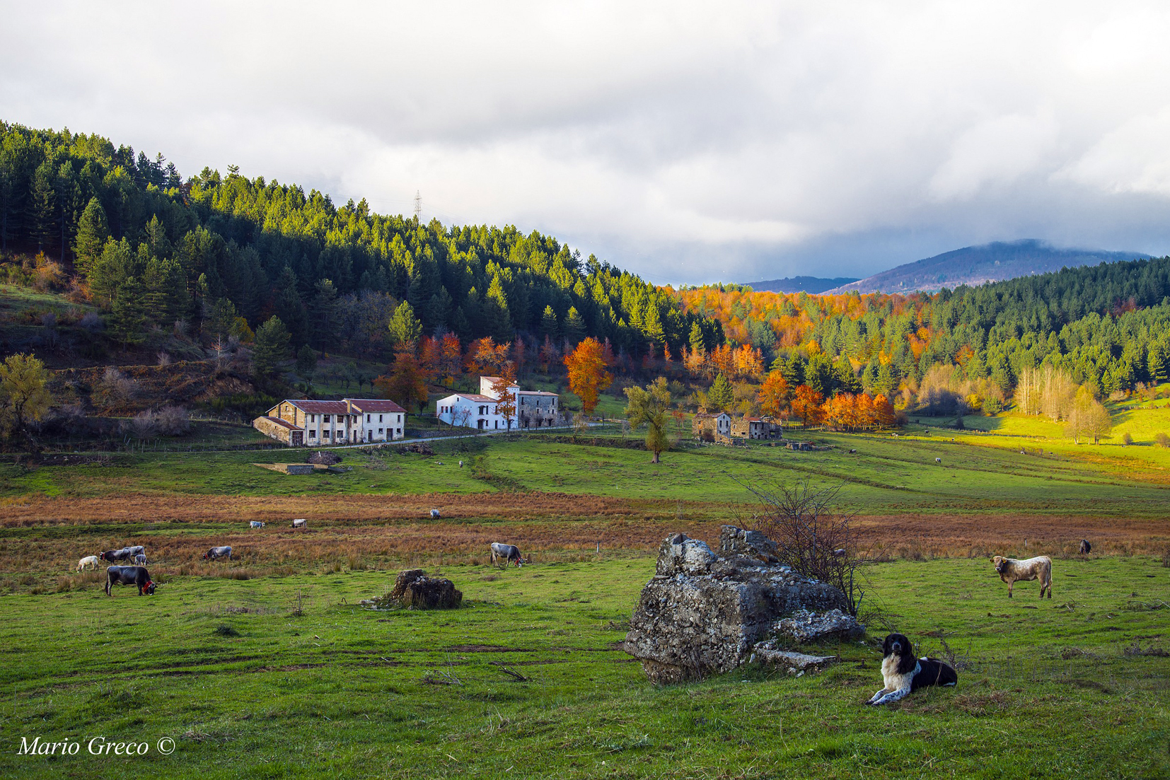 Altopiano silano (Foto Mario Greco)