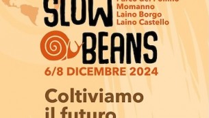 slow_beans_204_def