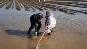 Spagna, sale a 223 bilancio alluvioni