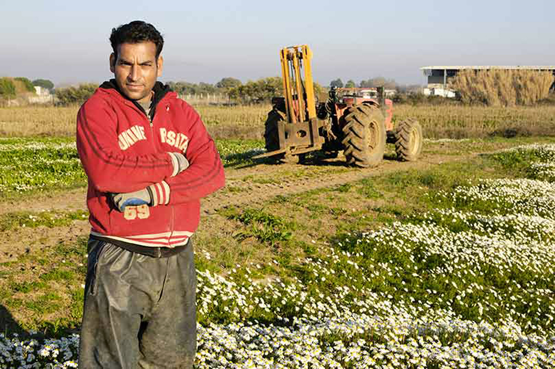 Immigrato al lavoro nei campi