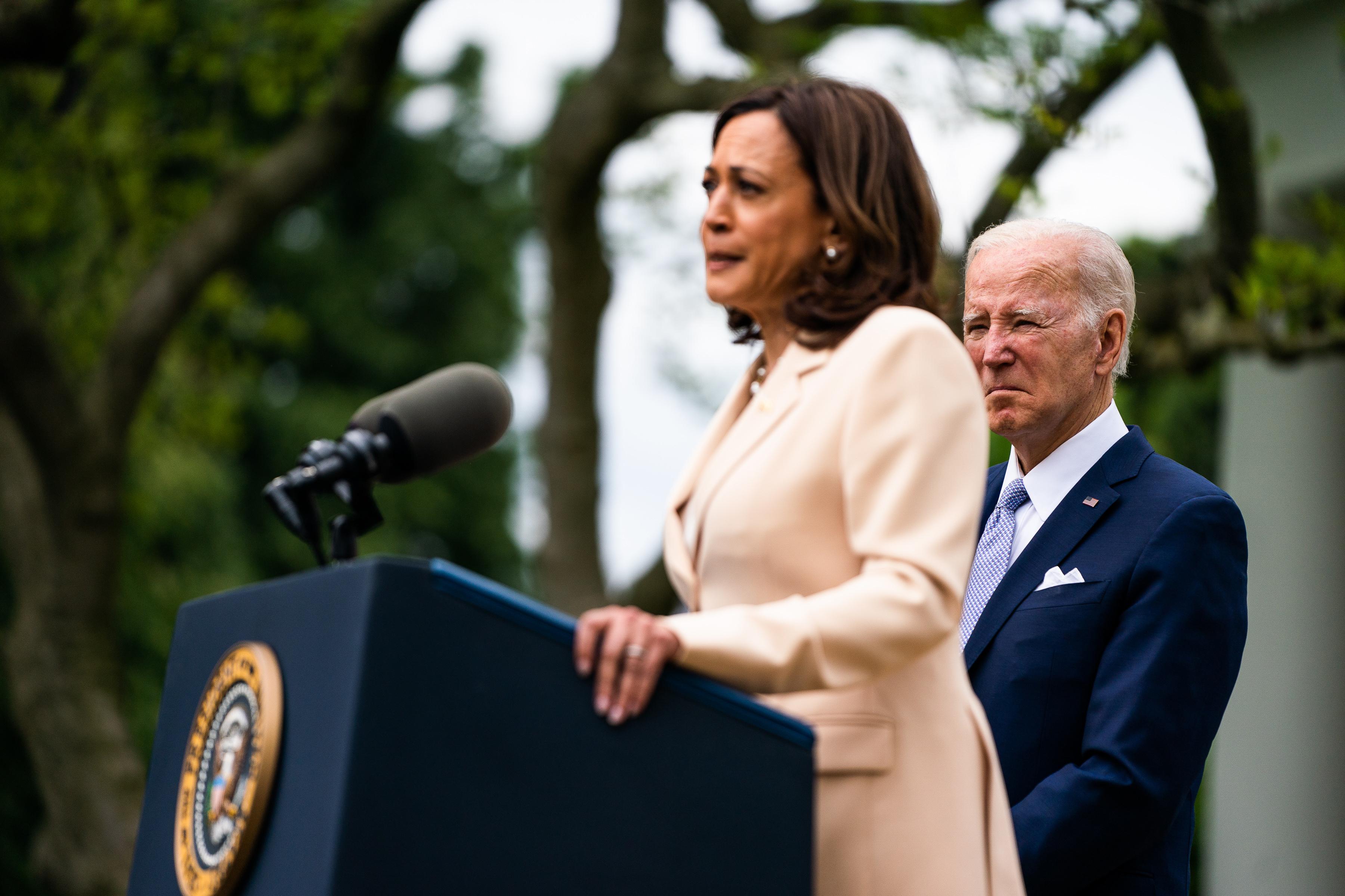 Vance contro Kamala Harris e le donne americane senza figli: "Gattare"