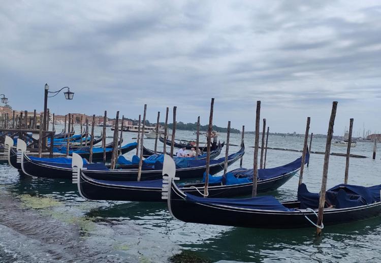 Venezia, ticket d'ingresso a 5 euro: da quando