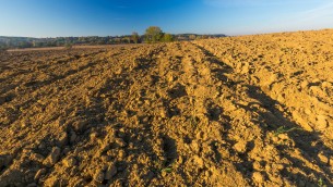 World Soil Day, i servizi fondamentali di un suolo sano