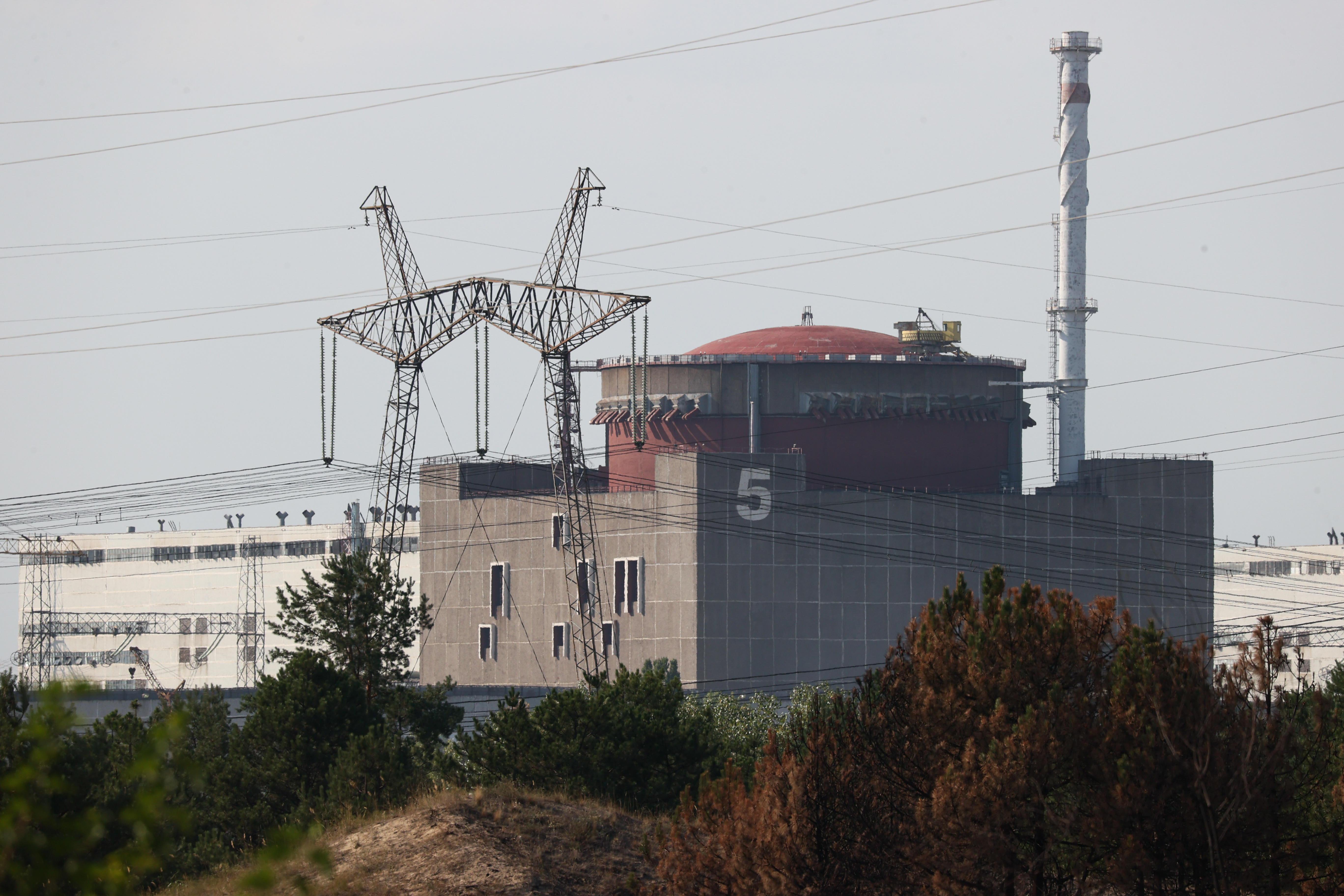 Zaporizhzhia, accusa di Energoatom a Mosca: "Rapiti lavoratori"